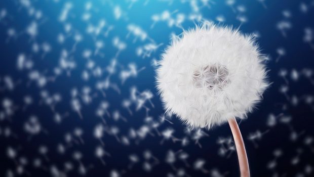 Why Digital Out-of-Home is Fundamental to your Multi-Channel Strategy