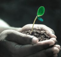 "Contextual Will Keep Developing": Q&A with Seedtag's Albert Nieto and Jorge Poyatos
