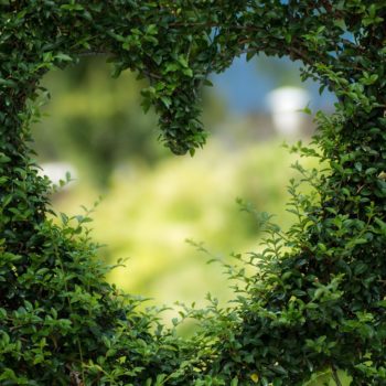 Love is... Finding the Right Partnerships Heart